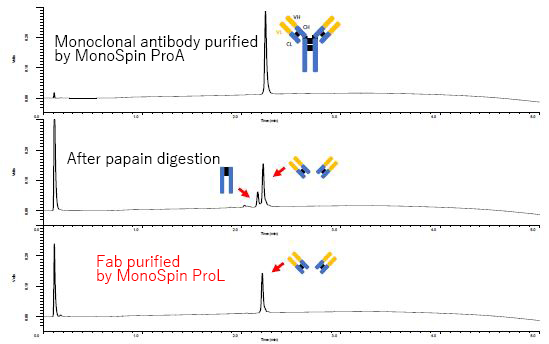 After purification by MonoSpin ProL